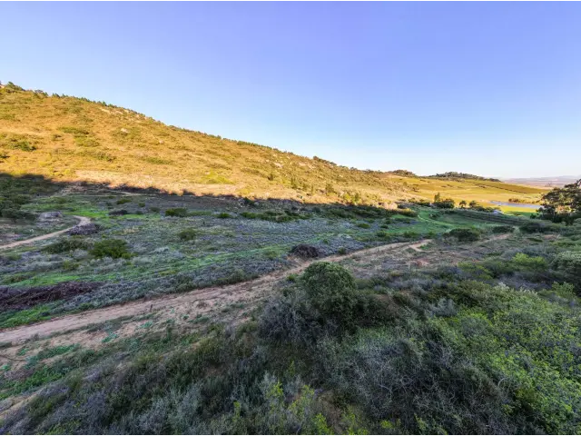  40  Rhebokskloof Estate, Rhebokskloof Estate, Paarl 